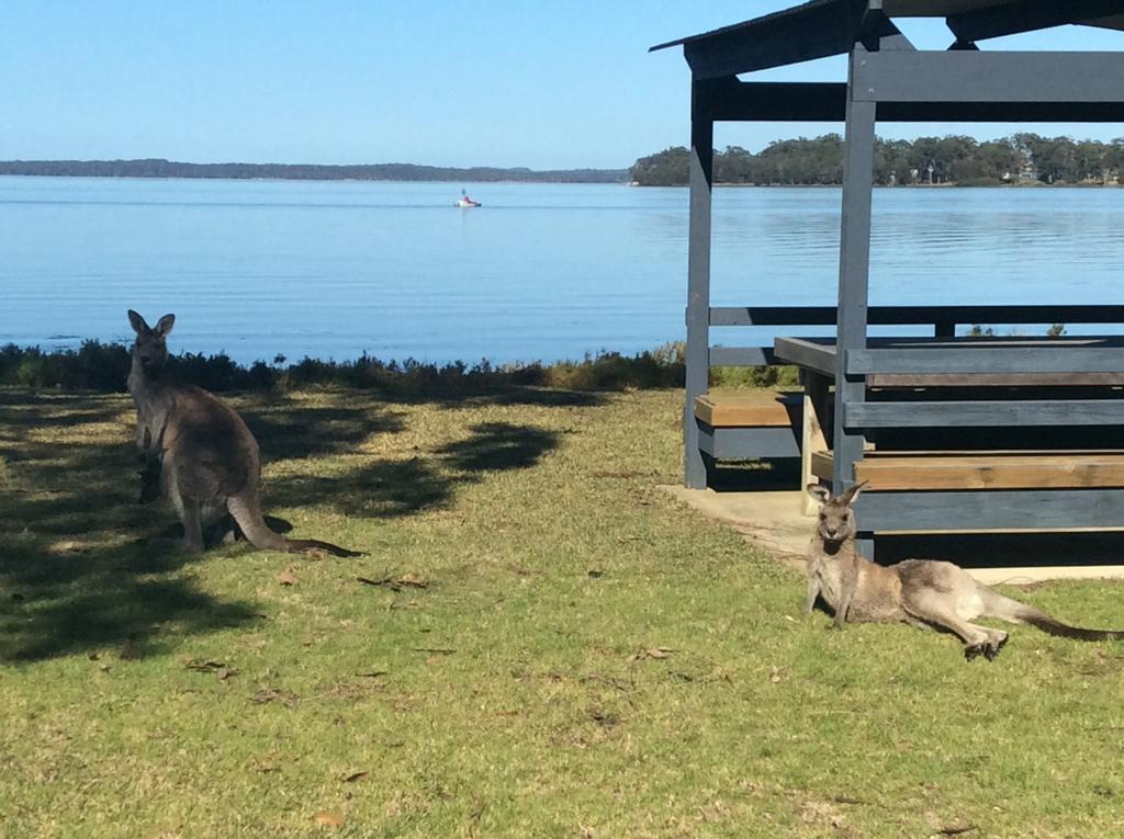 Dungowan Holiday Accommodation Erowal Bay Buitenkant foto